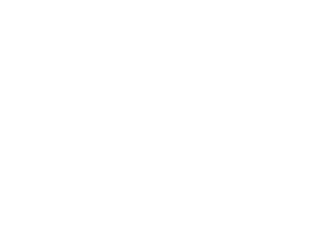 Sandler Digital Advisory